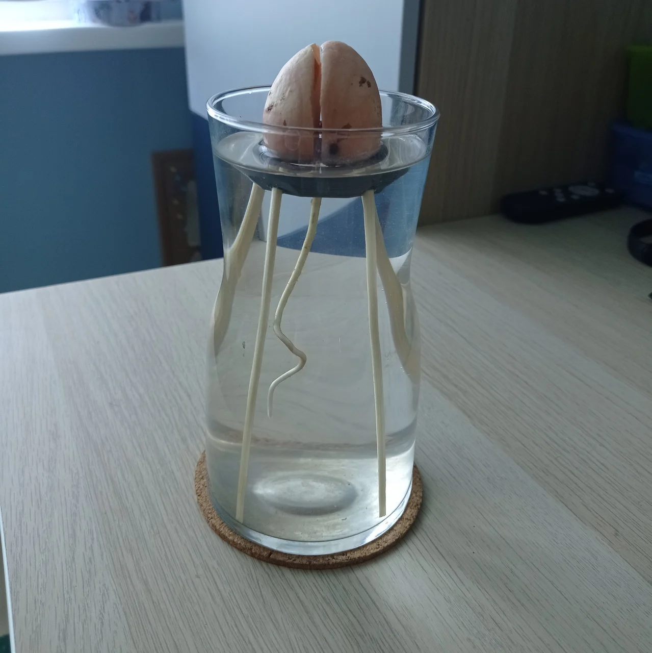 Avocado holder