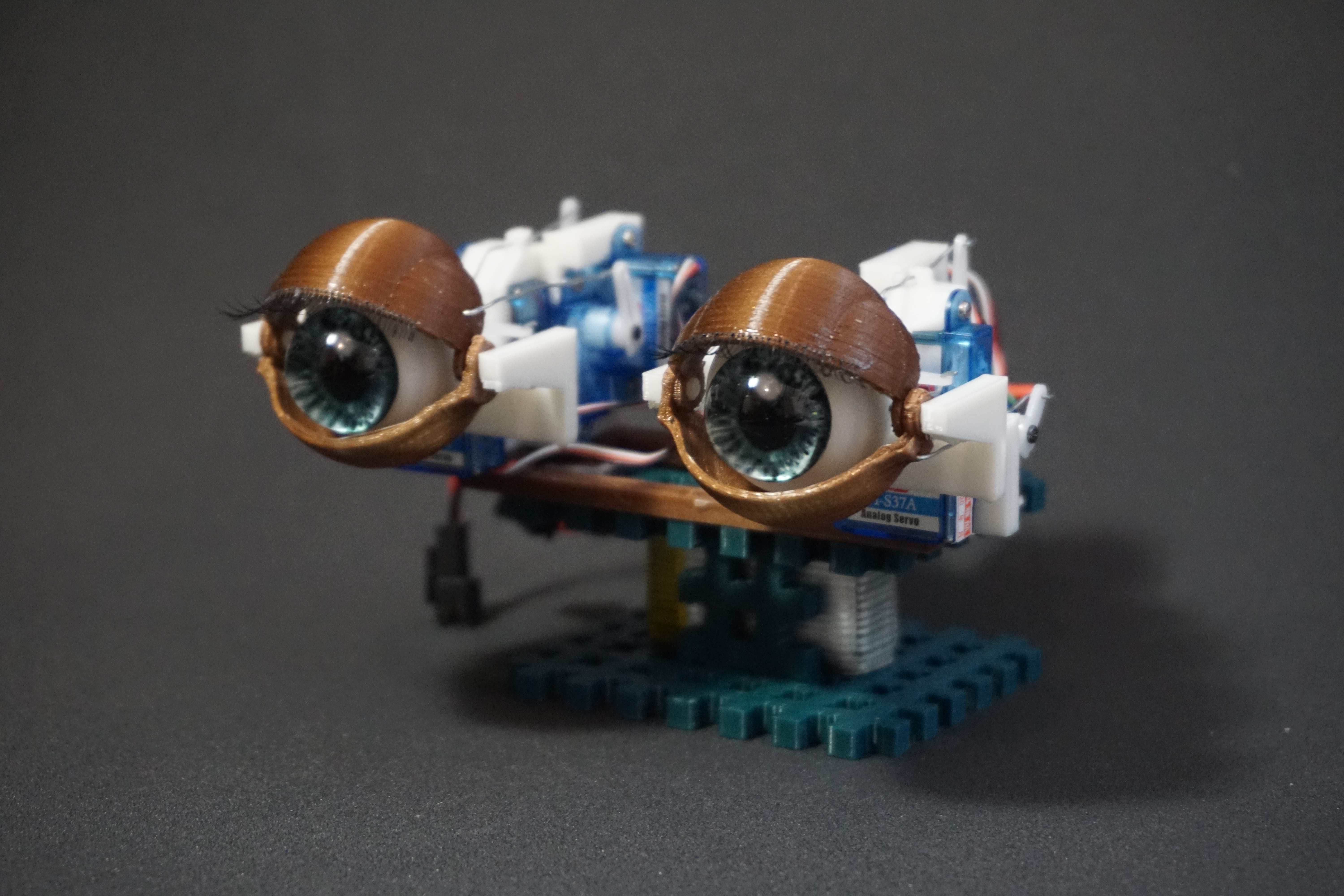 Animatronic eyes