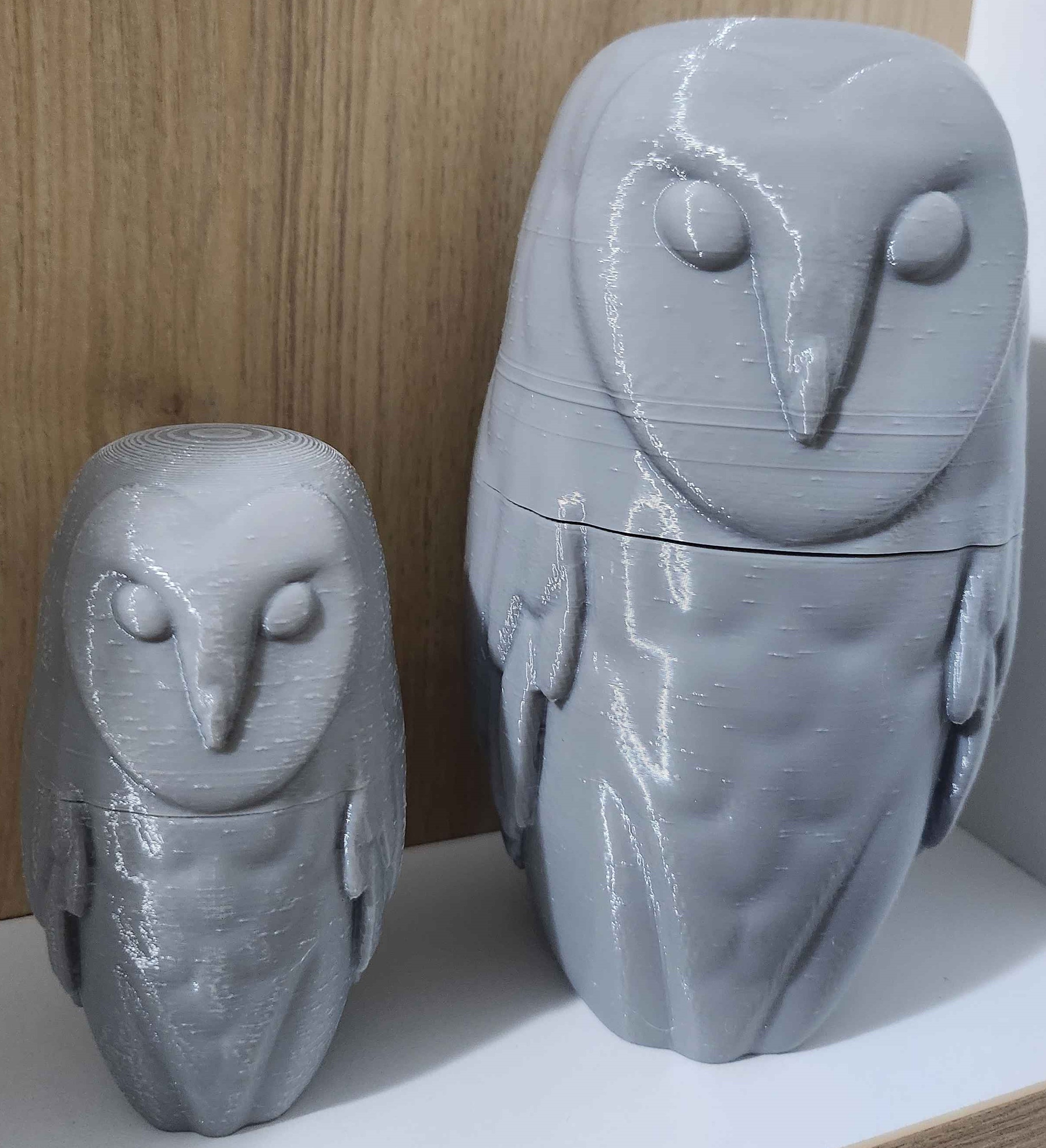 Barn Owl Geocache