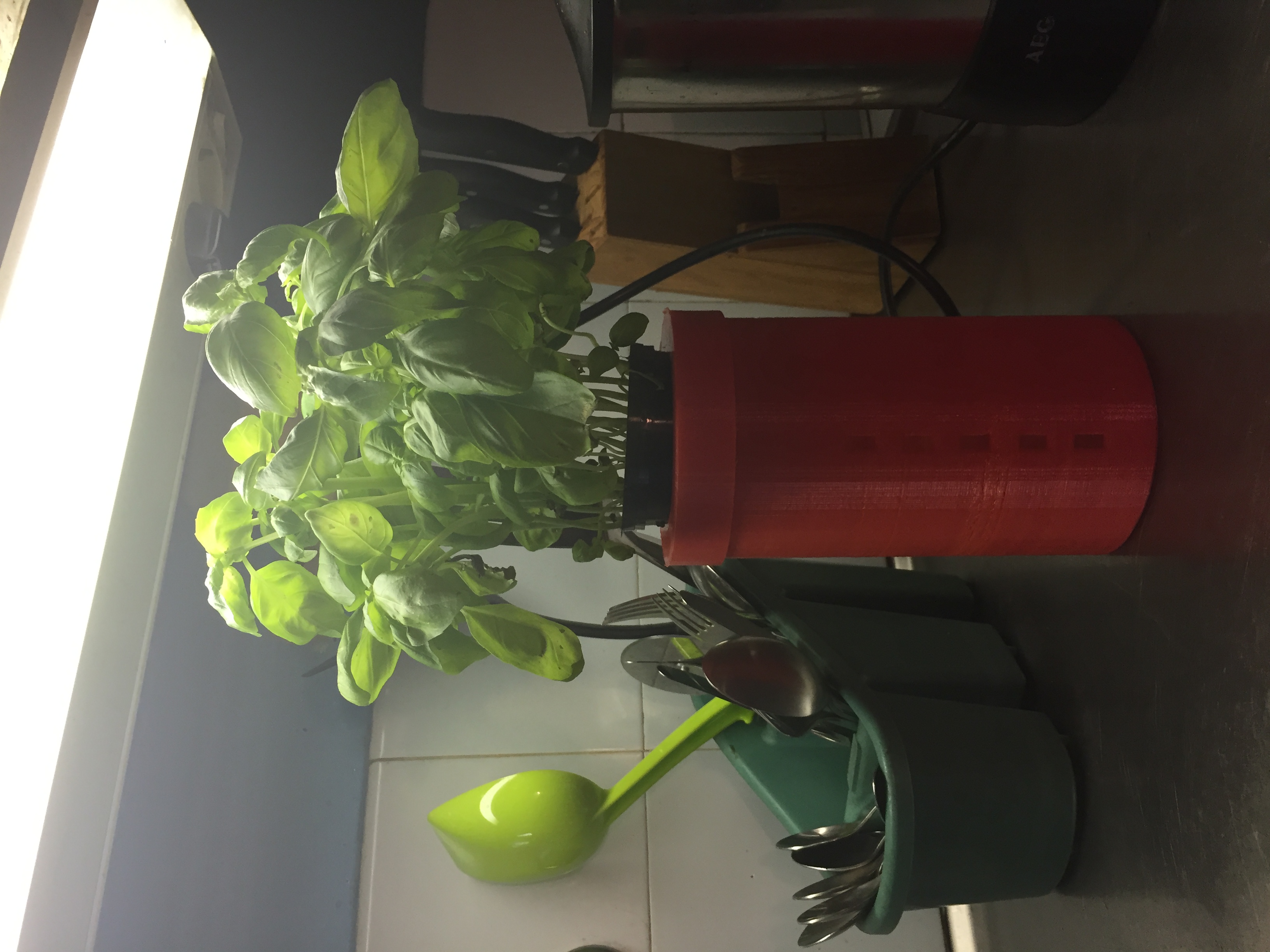 Glassjar herb holder