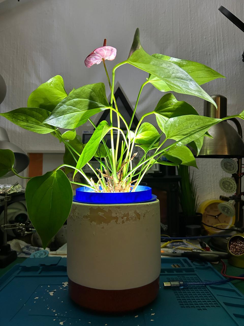 Parametric Pot Plant LED Ring | OpenSCAD Project