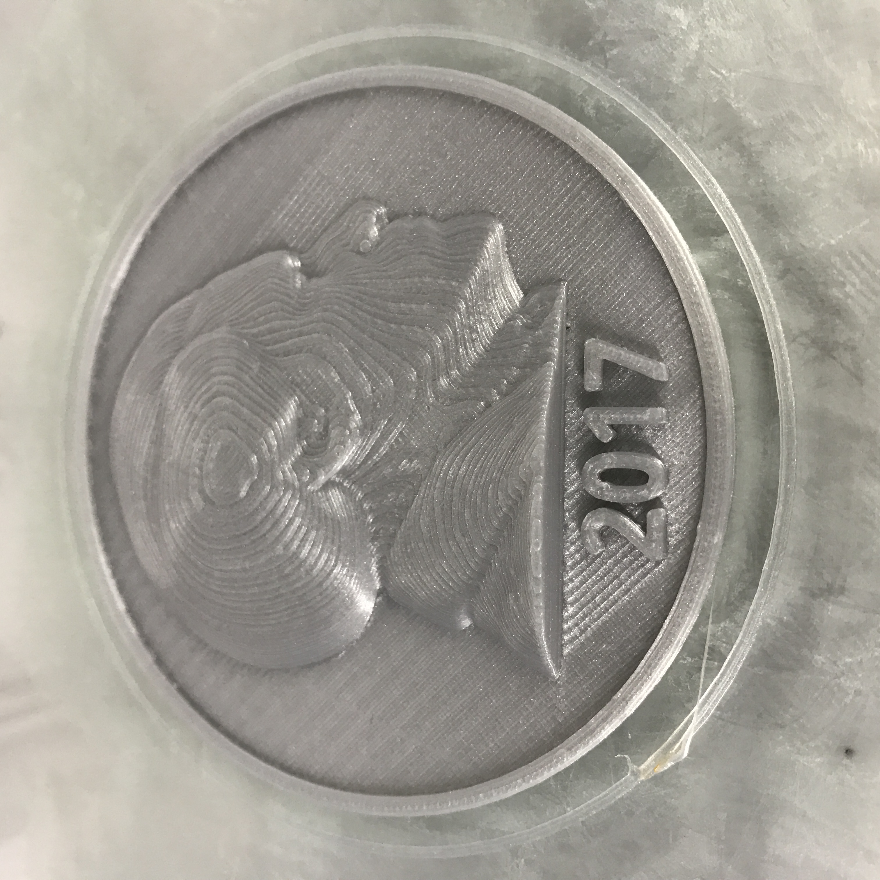 Frederick Douglass Medallion