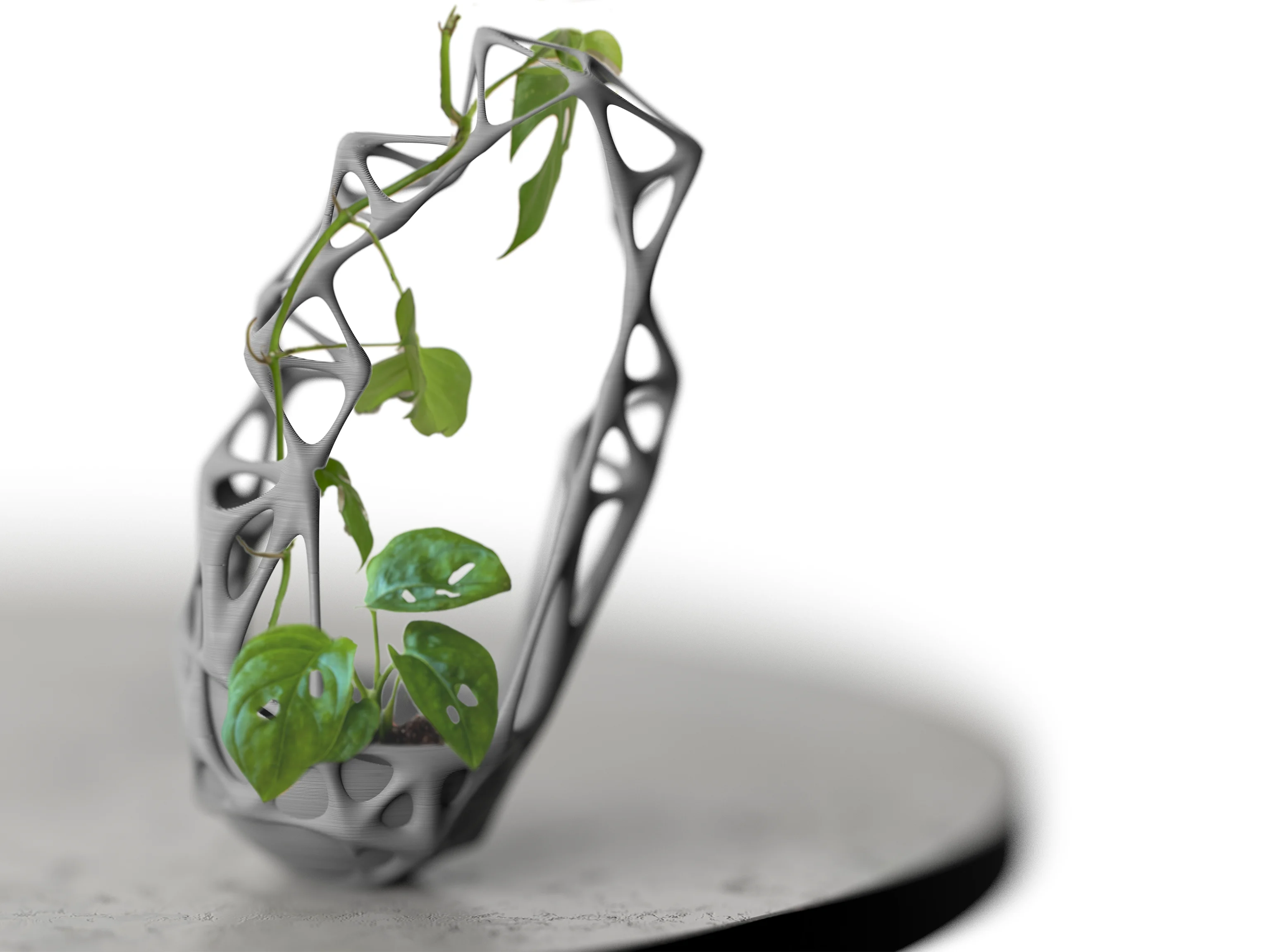 GreenWeave Planter for Climbers