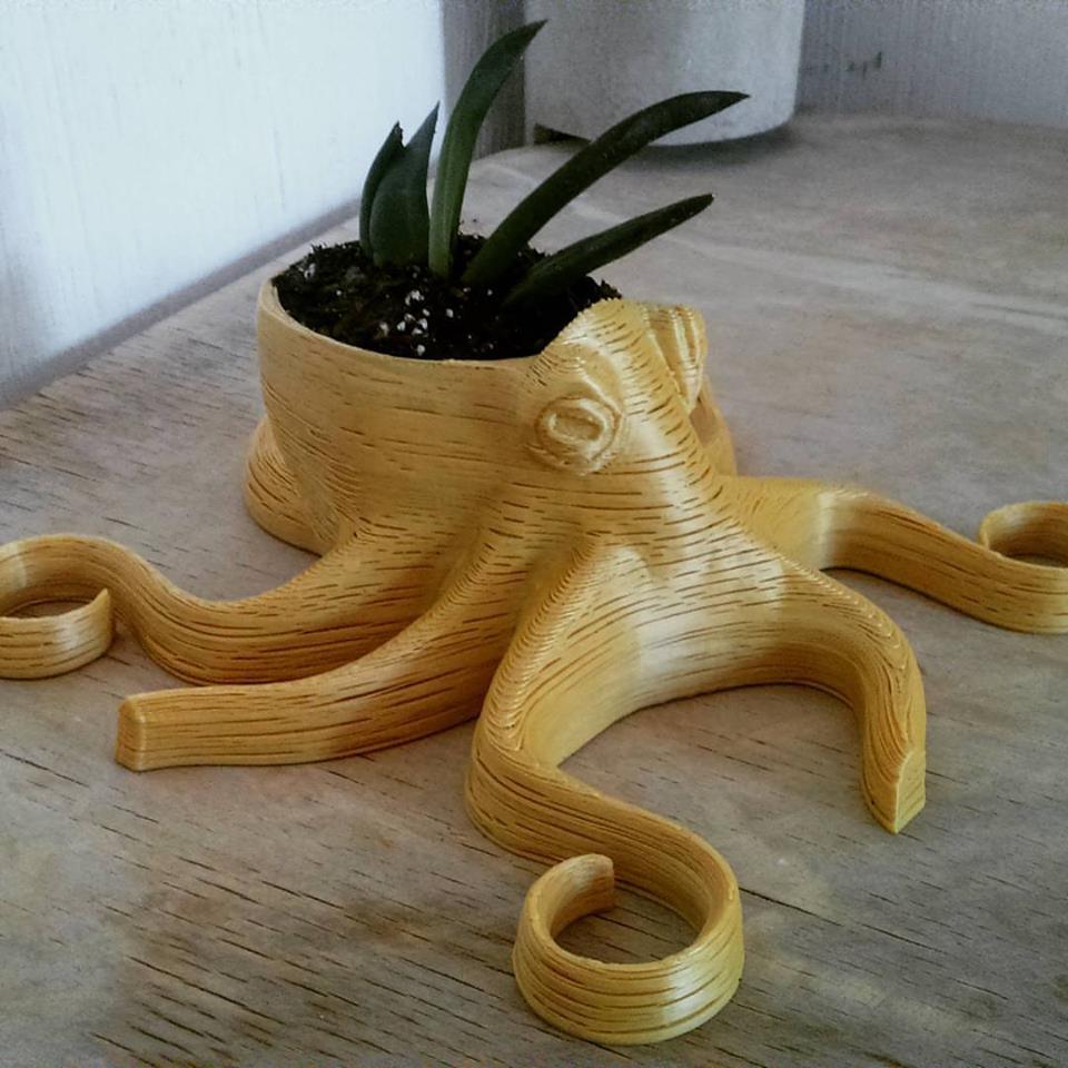 Pulpo maceta