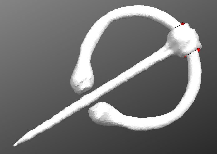 Cloak pin