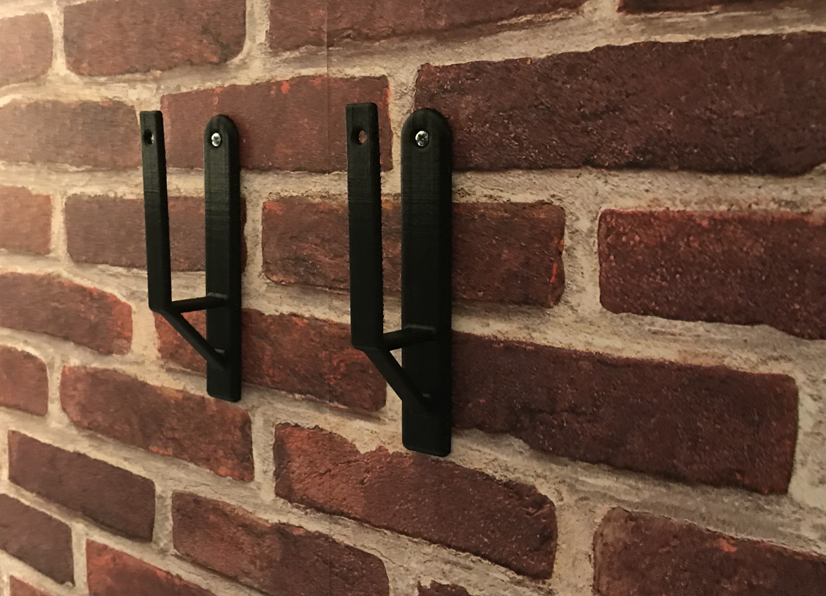 Disco Parrot wall support