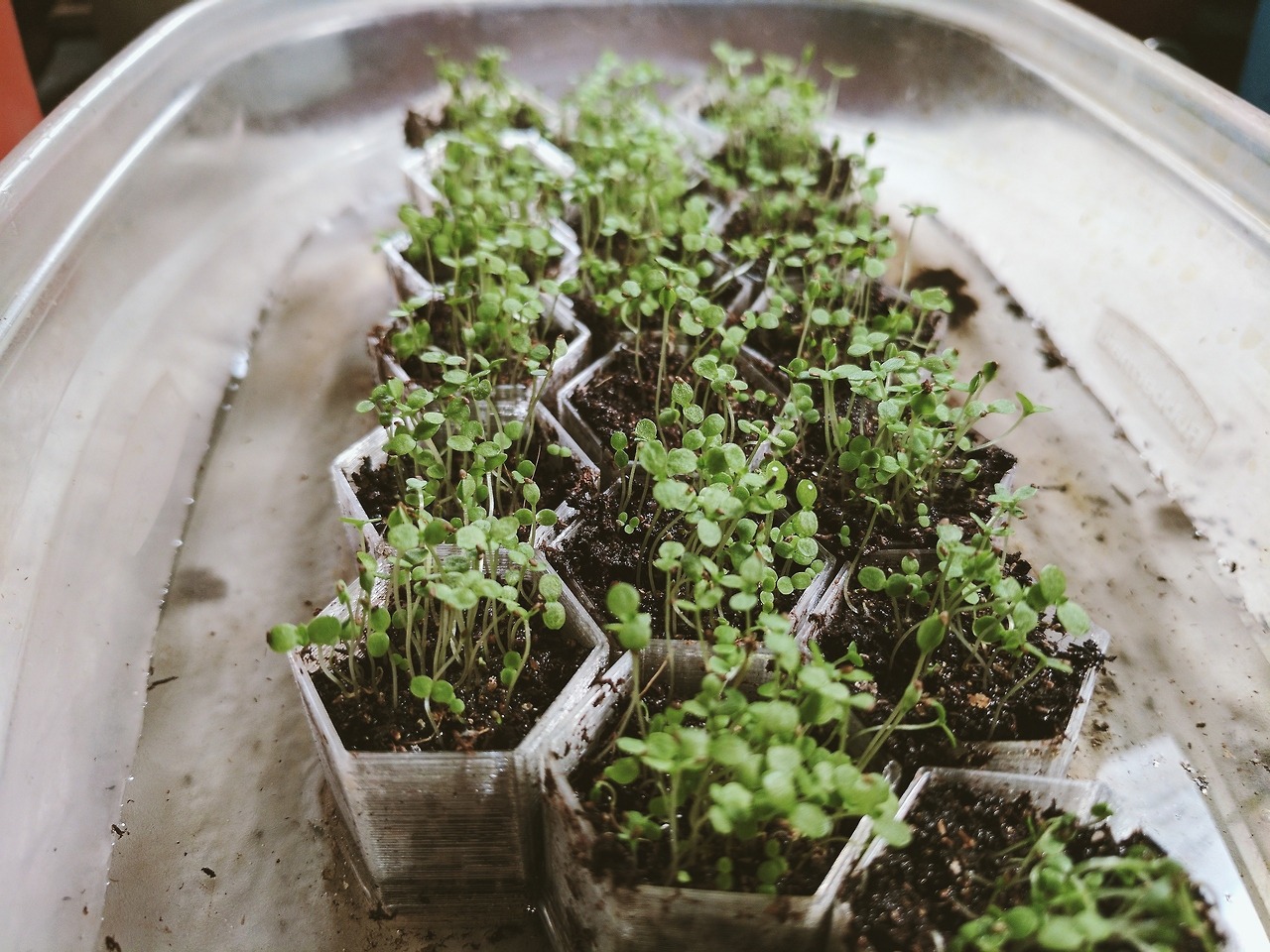 Small Seed Starter Pots