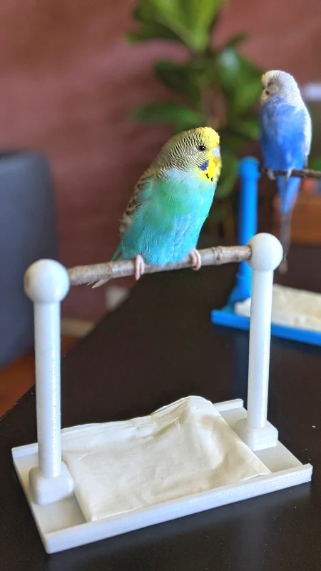 Desk Perch for Budgies