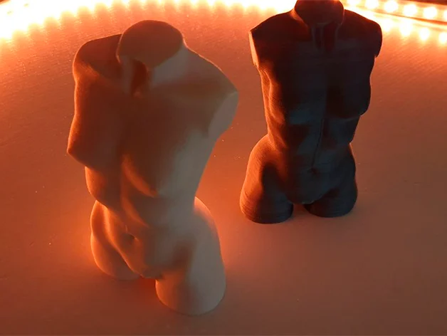 Feminine body