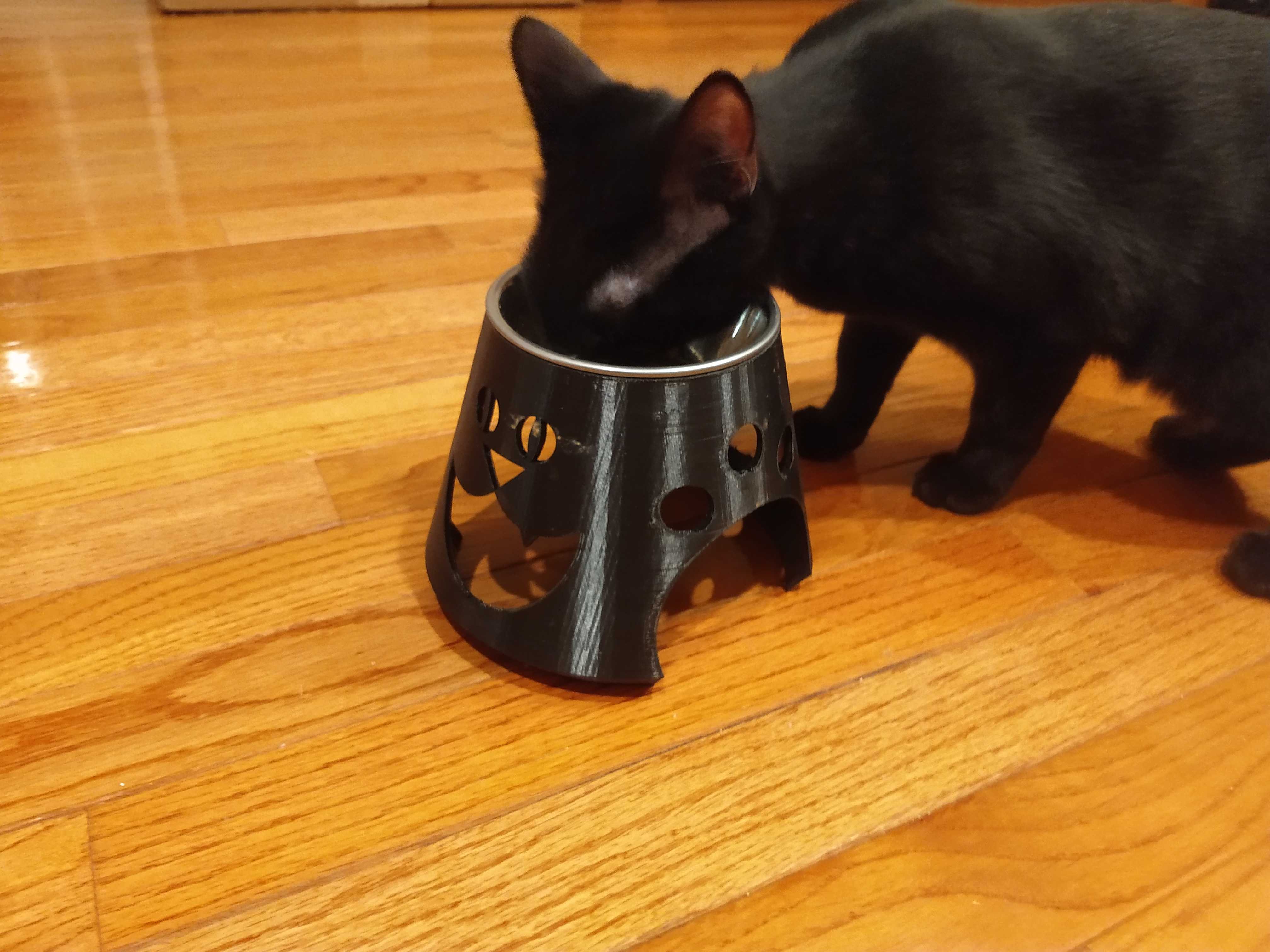 Cat Food Bowl Riser For Elderly Cat (or... any age)