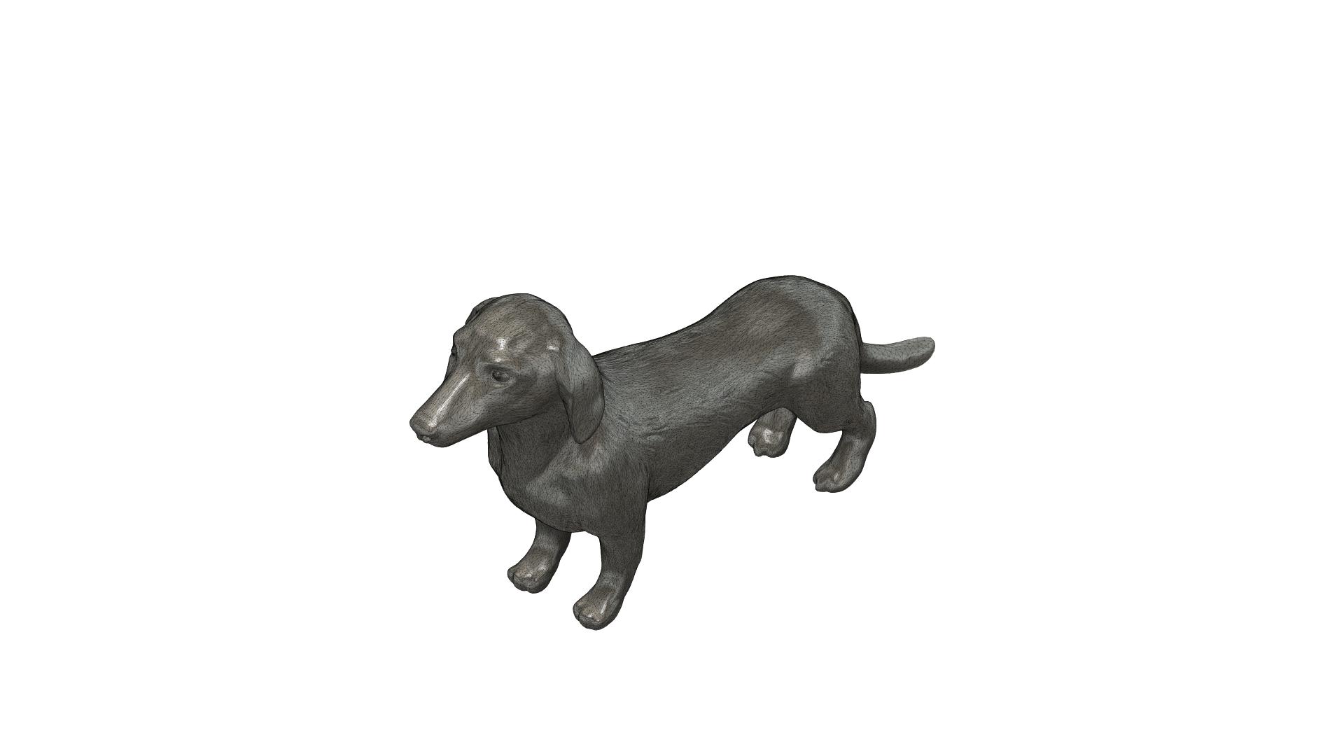 Dackel / Teckel / Dachshund