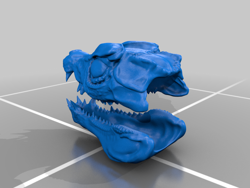 Paleosuchus palpebrosus head - Cuvier's dwarf caiman
