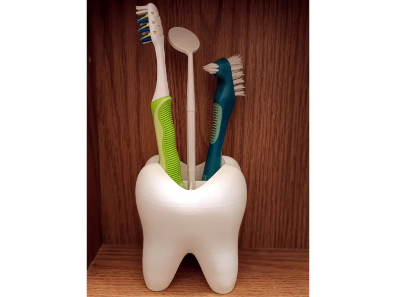 Toothbrush Holder Tooth