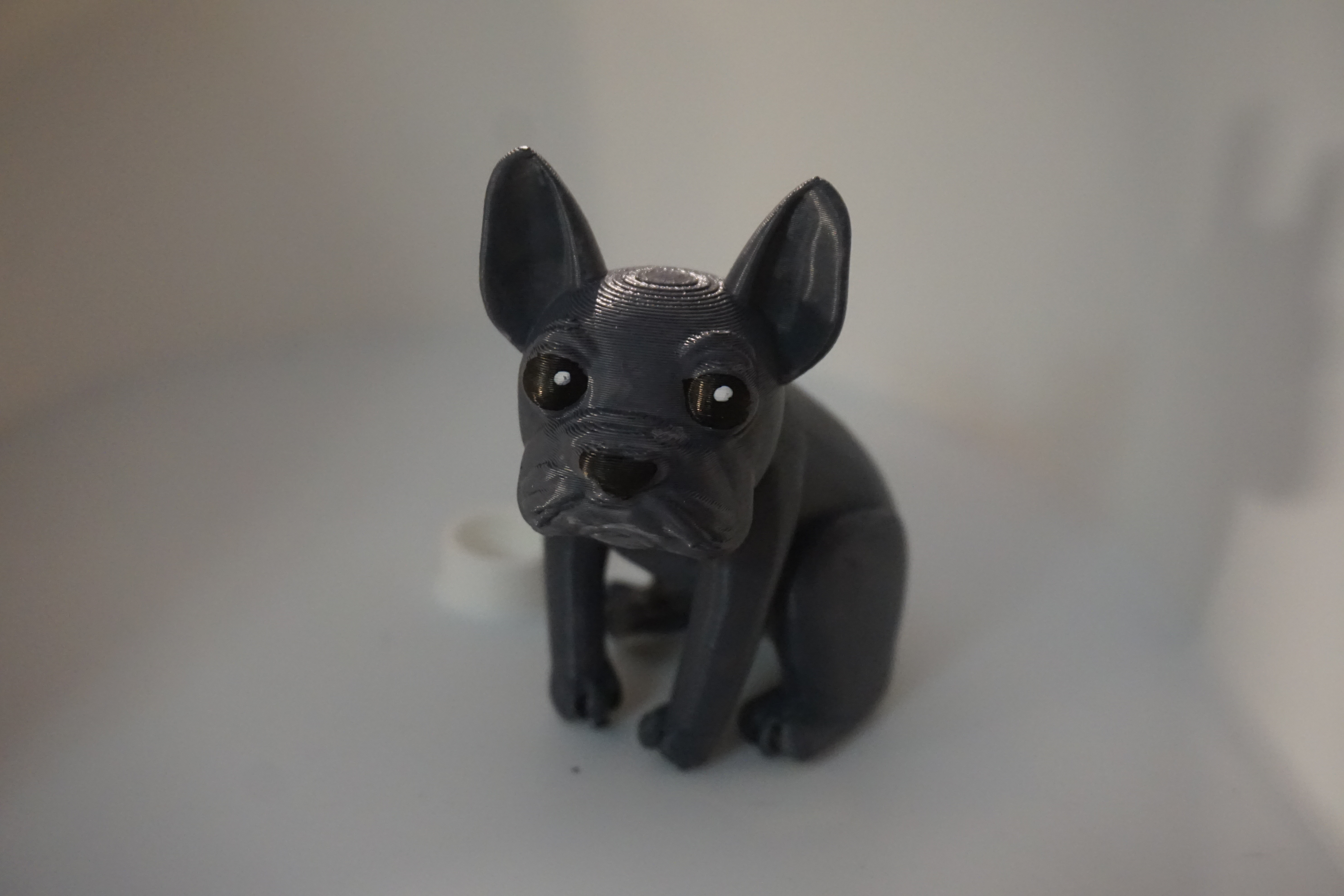 Bull Dog