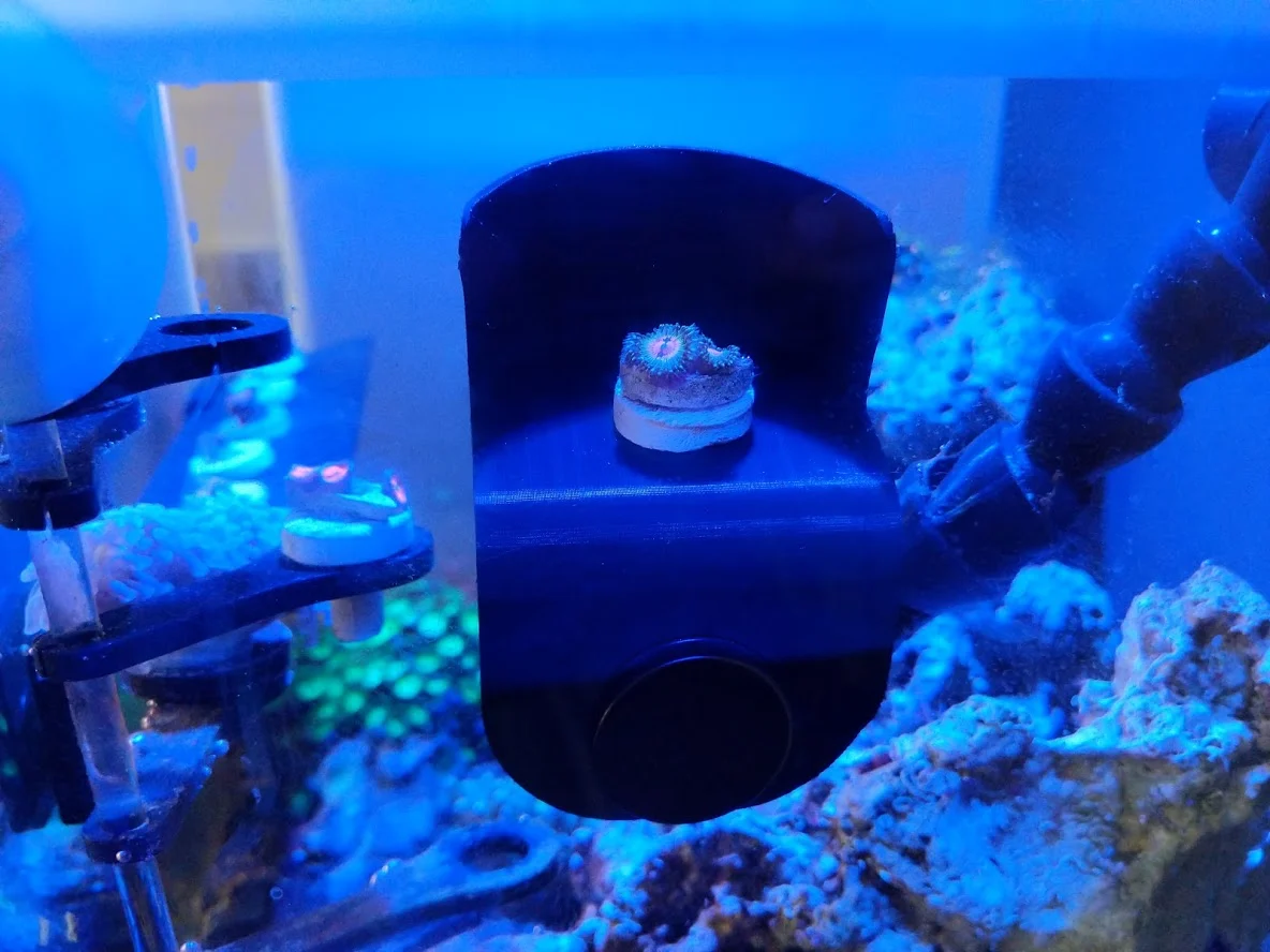 Frag Photo Stand