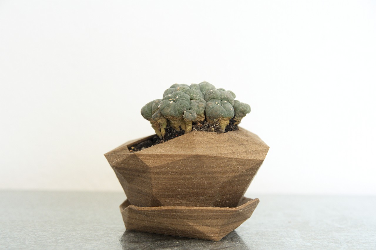Planter #3
