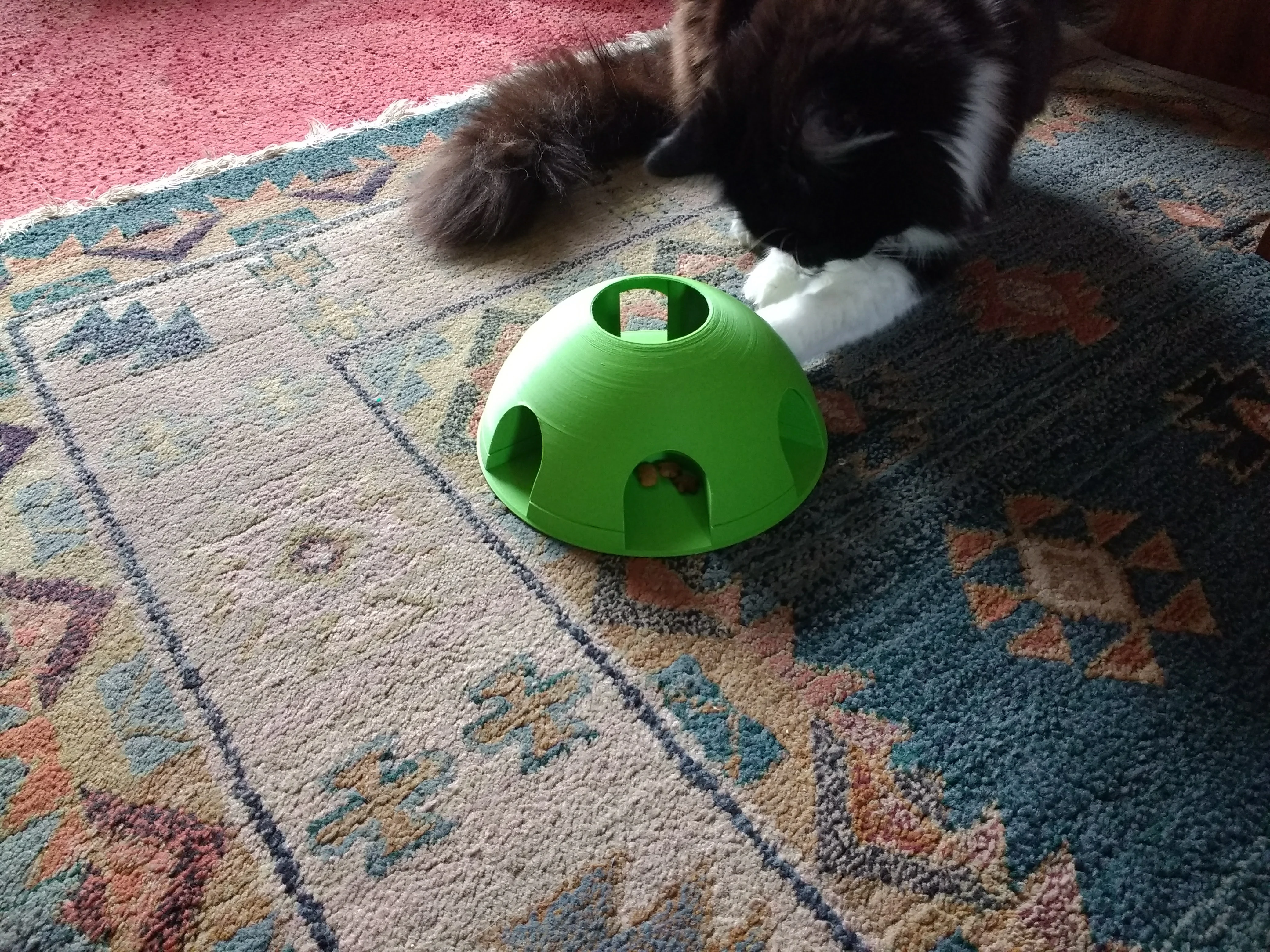 Cat Toy