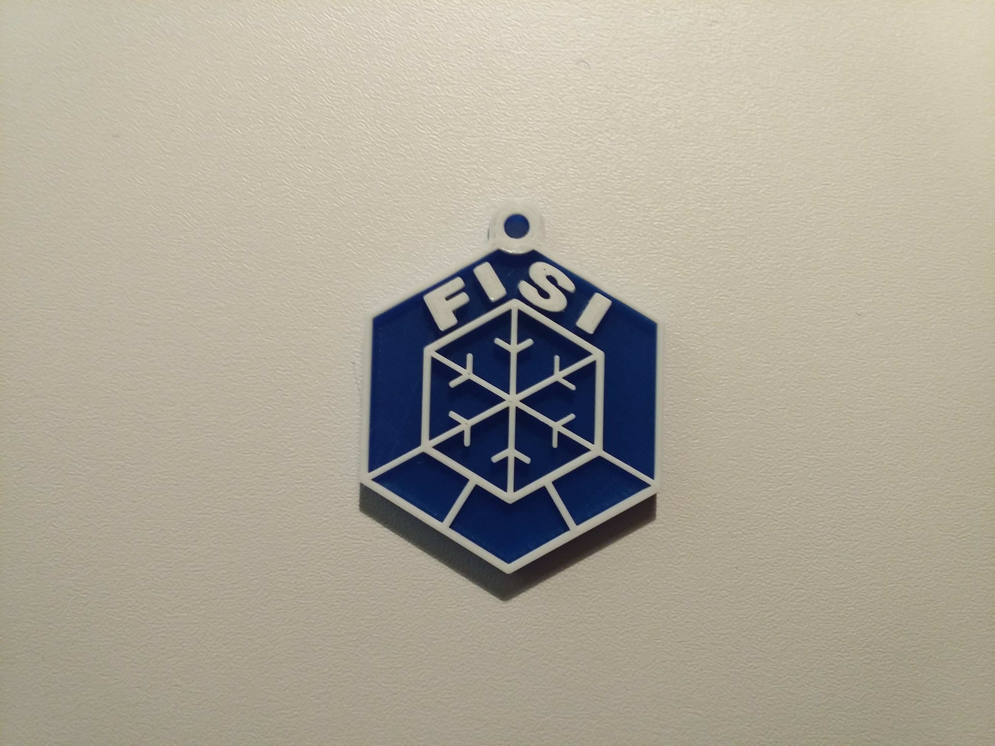 Fisi - keychain logo