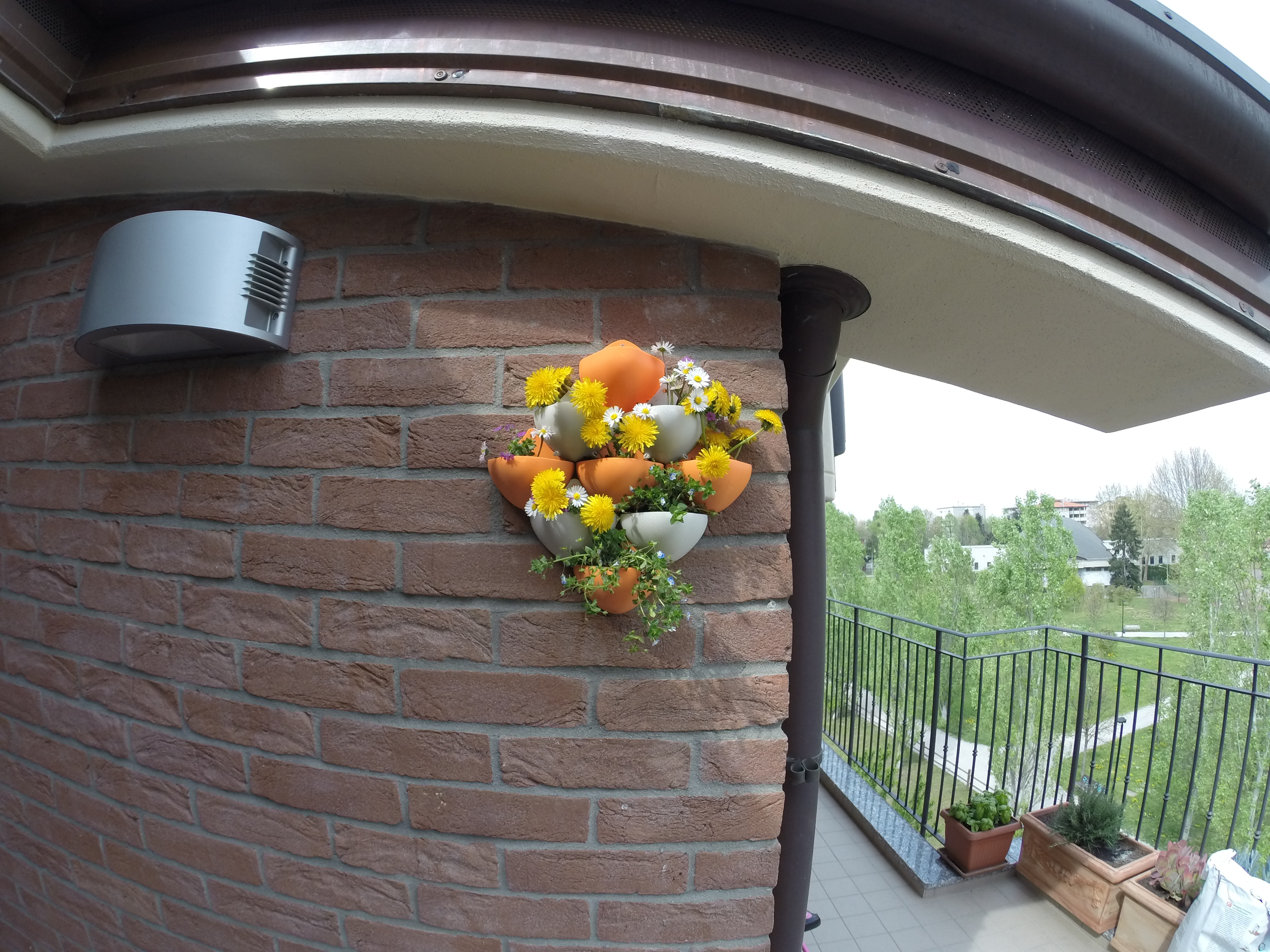 Vases for wall gardening