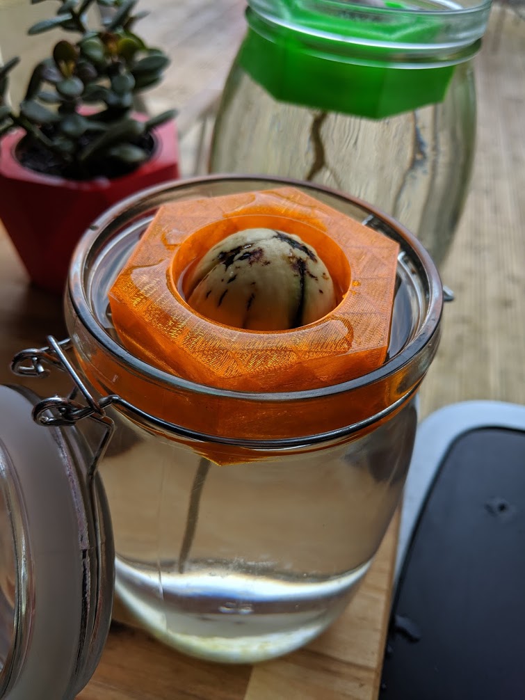 Unsinkable Hex Avocado Boat