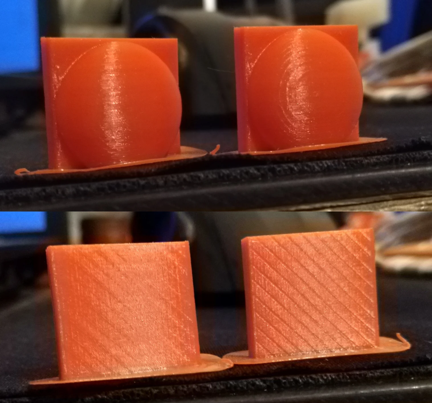 Salmon Skin Test