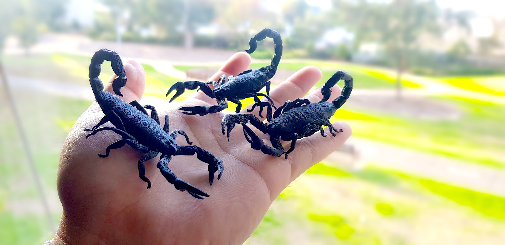Scorpion by Drawn to Spec