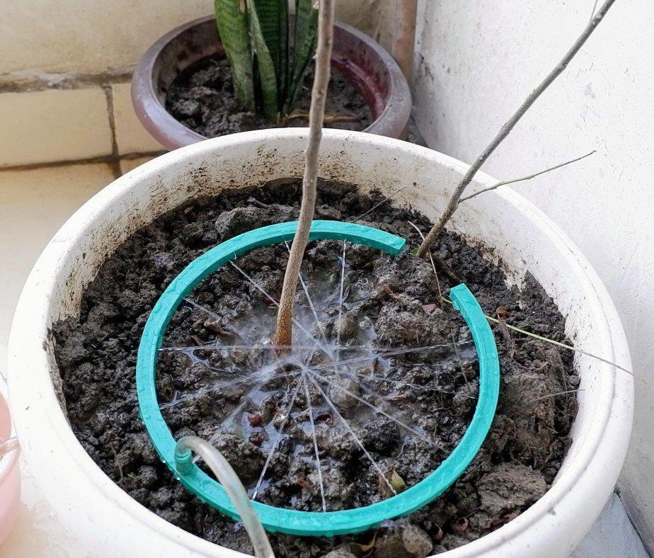 Sprinkler for Plants