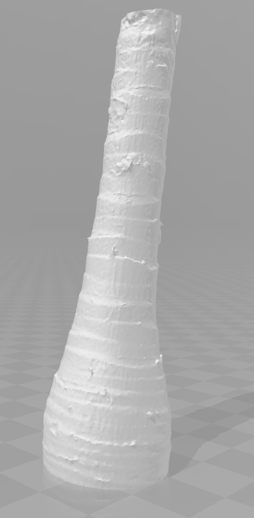 Palmtree (trunk only)