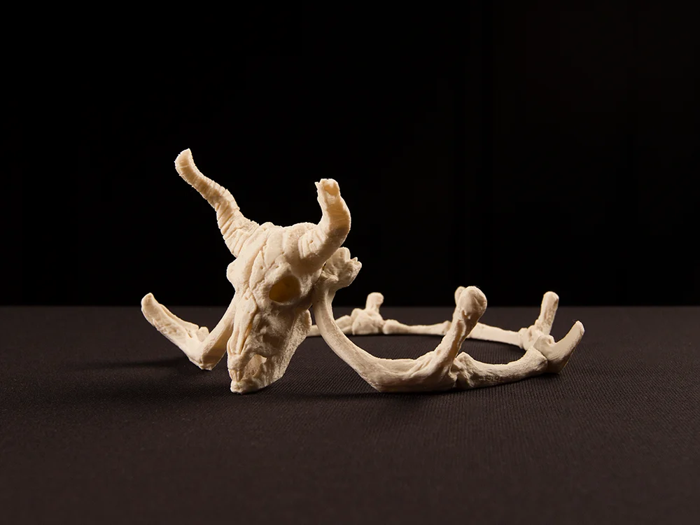 Storied Skulls Crown and Tiara