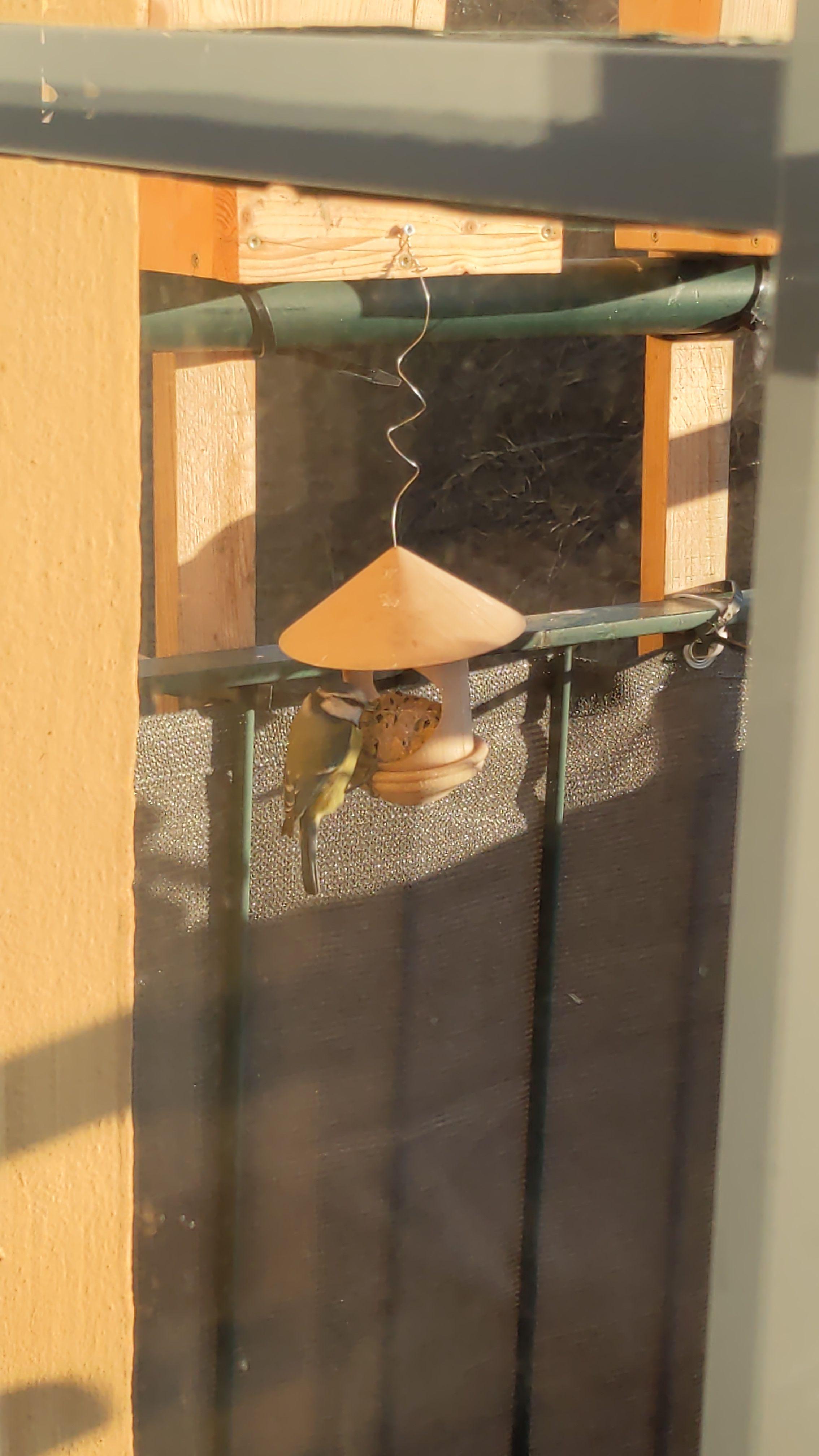Fat Ball Bird Feeder / Meisenknödel Halter