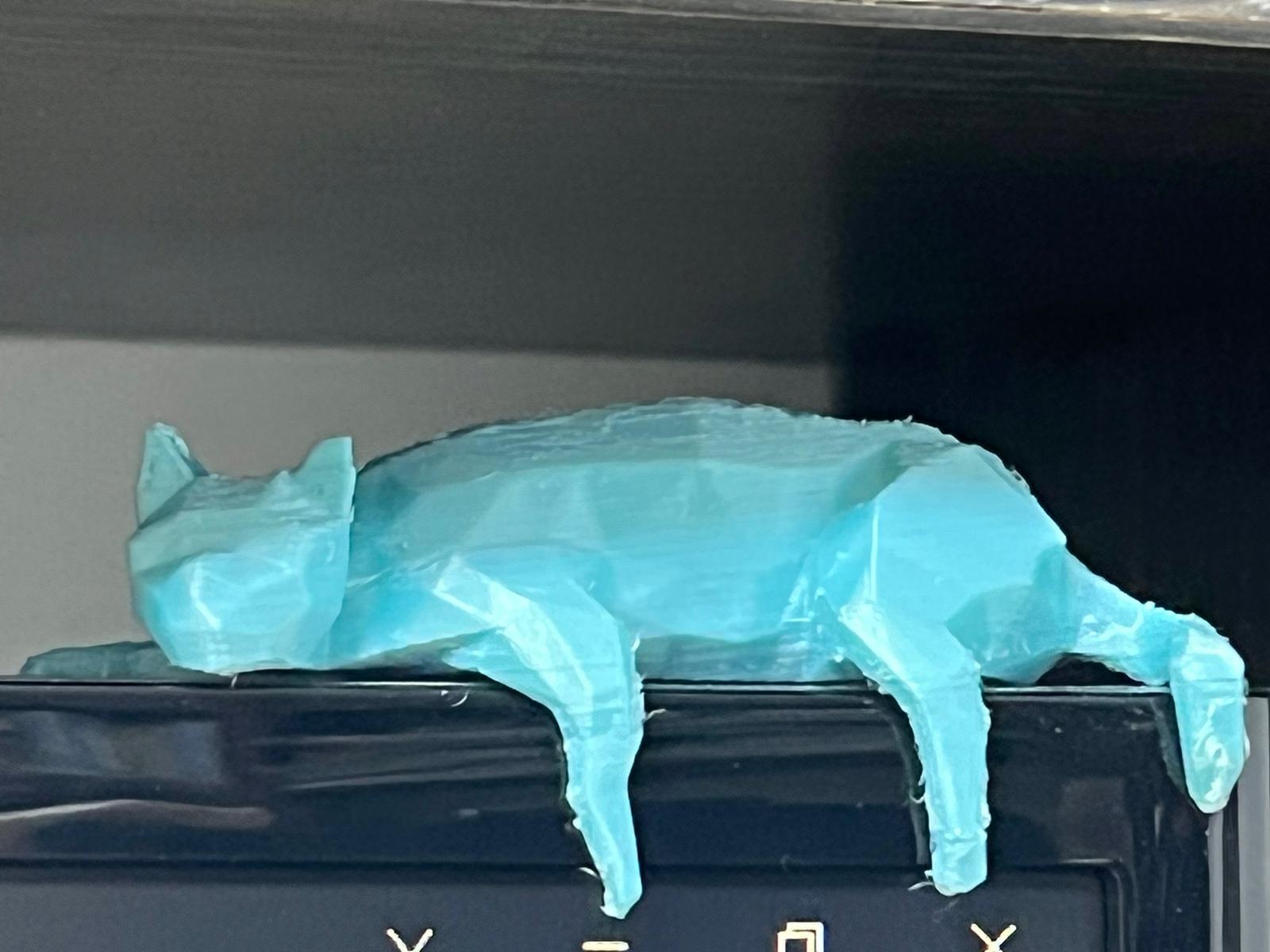 sleeping cat on screen