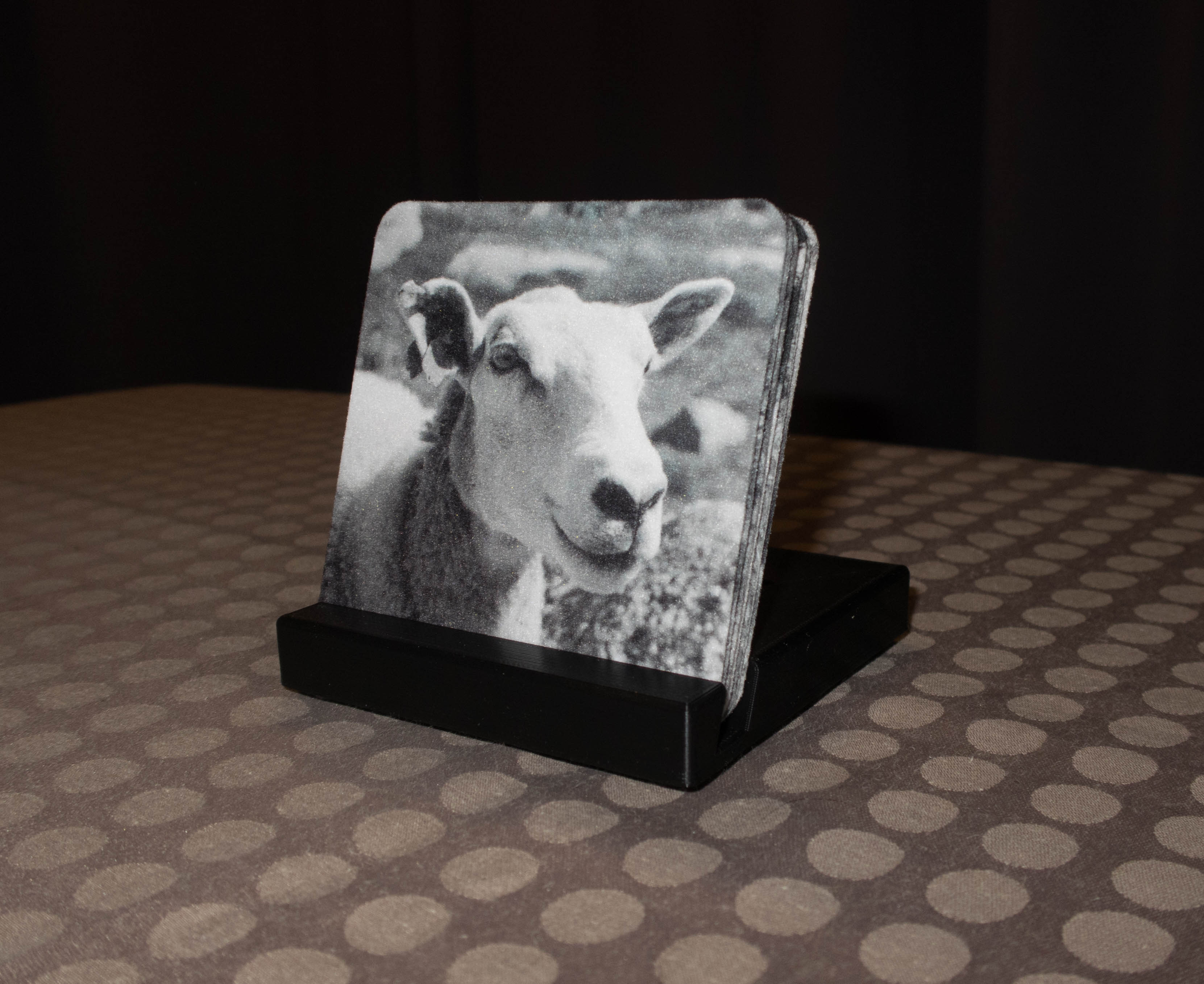 Coasterholder