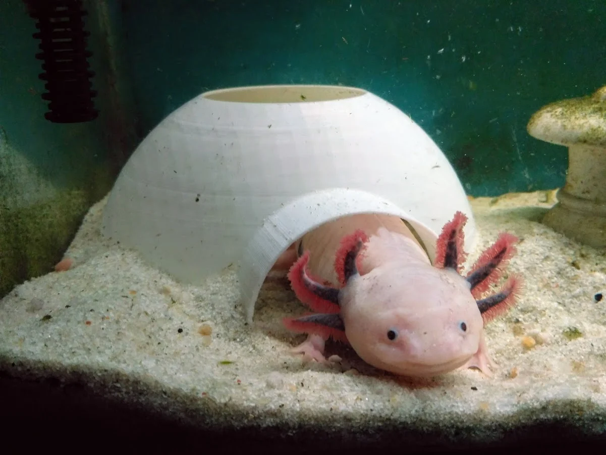 Igloo for Aquariums