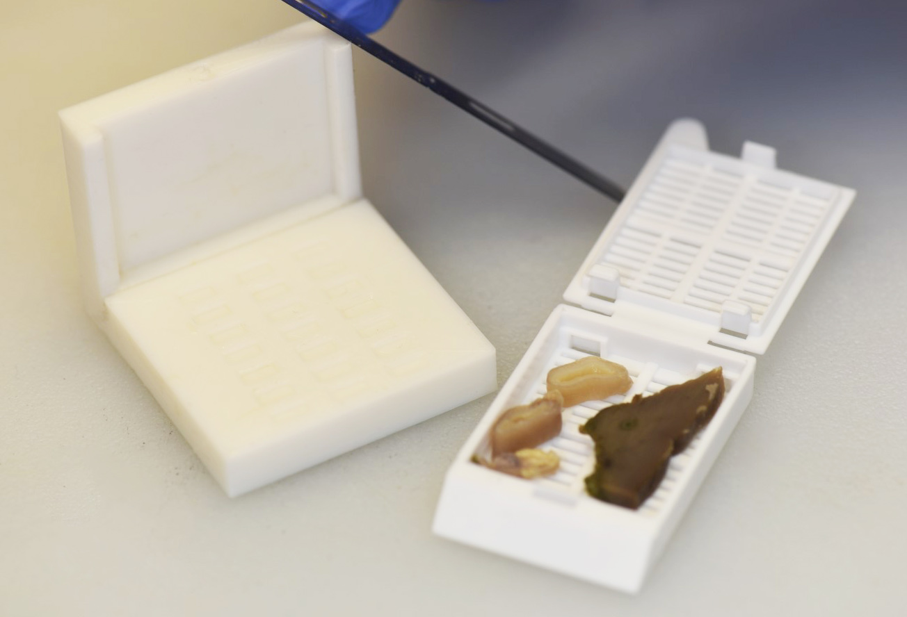 Pathology slices guide