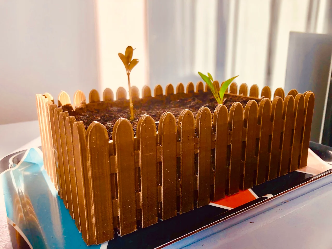 Bonsai Garden / Jardin à Bonsai