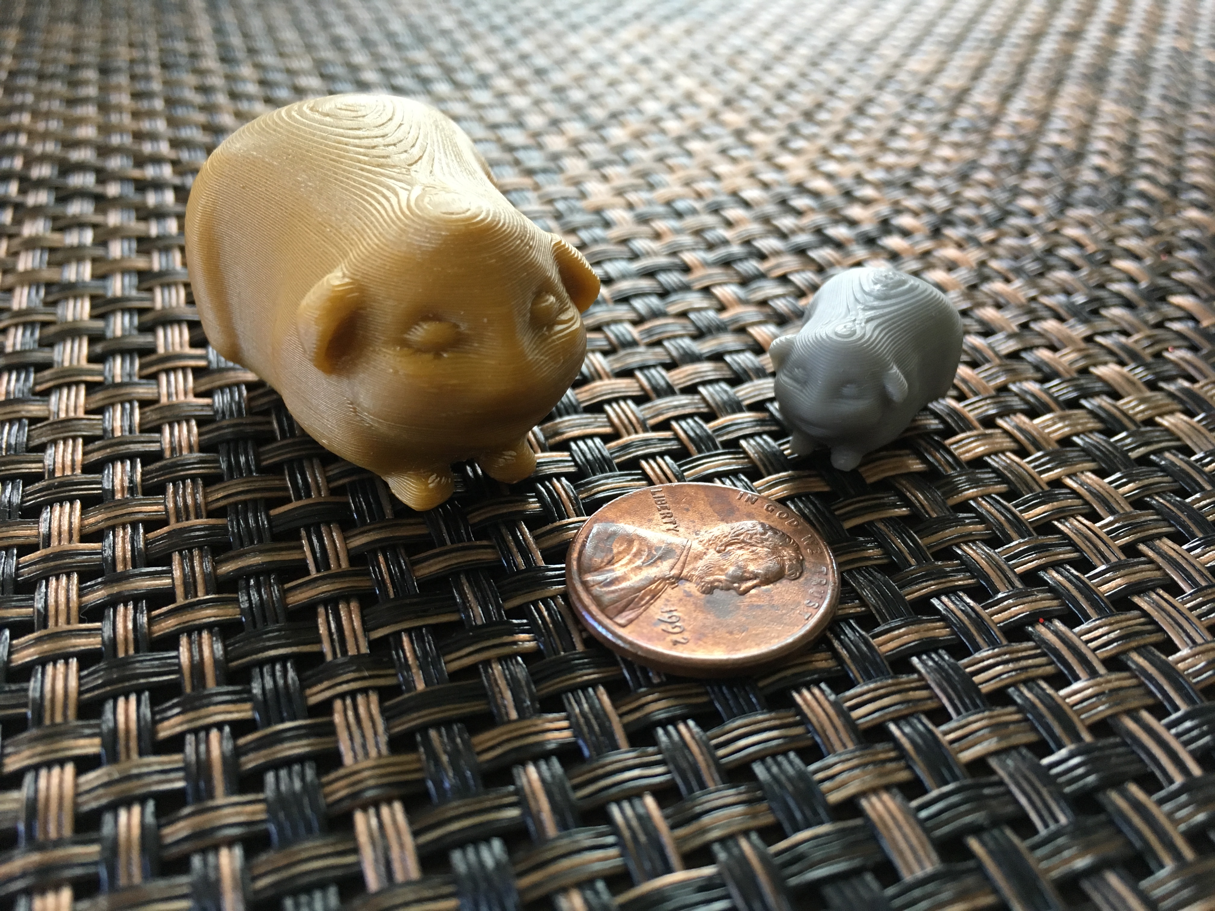 Guinea Pig