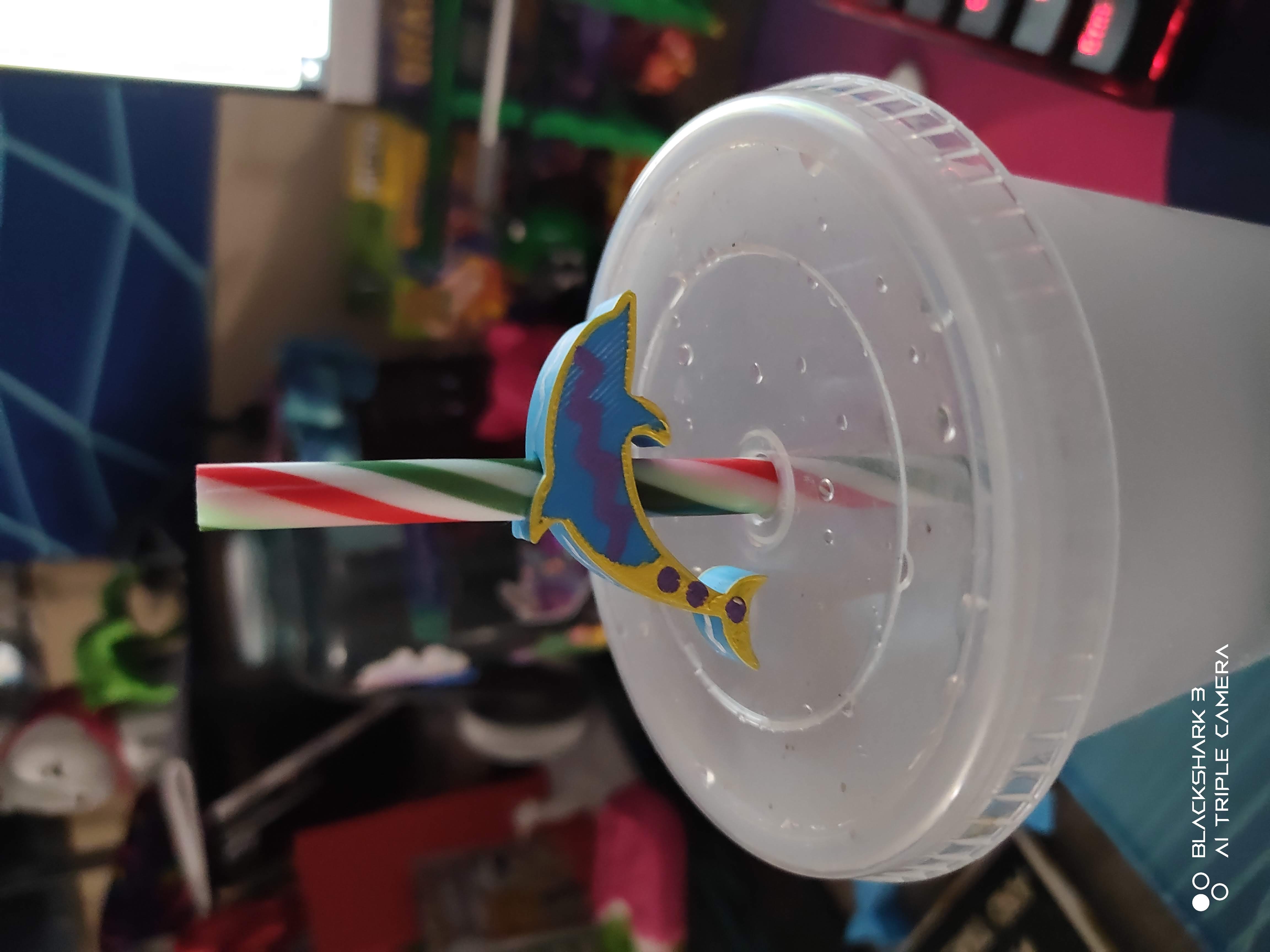 Dolphin Straw Topper