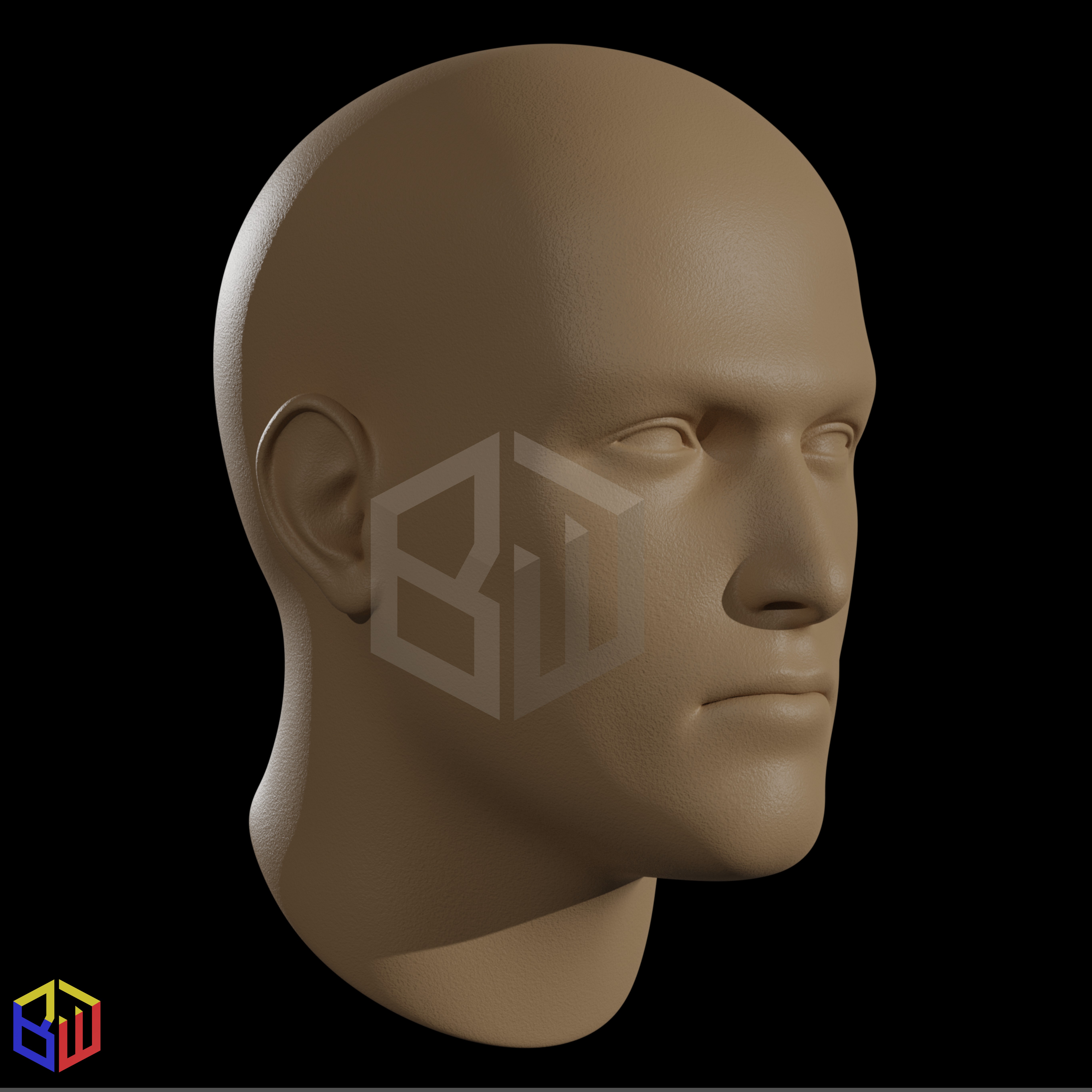 Sizing Heads Updated