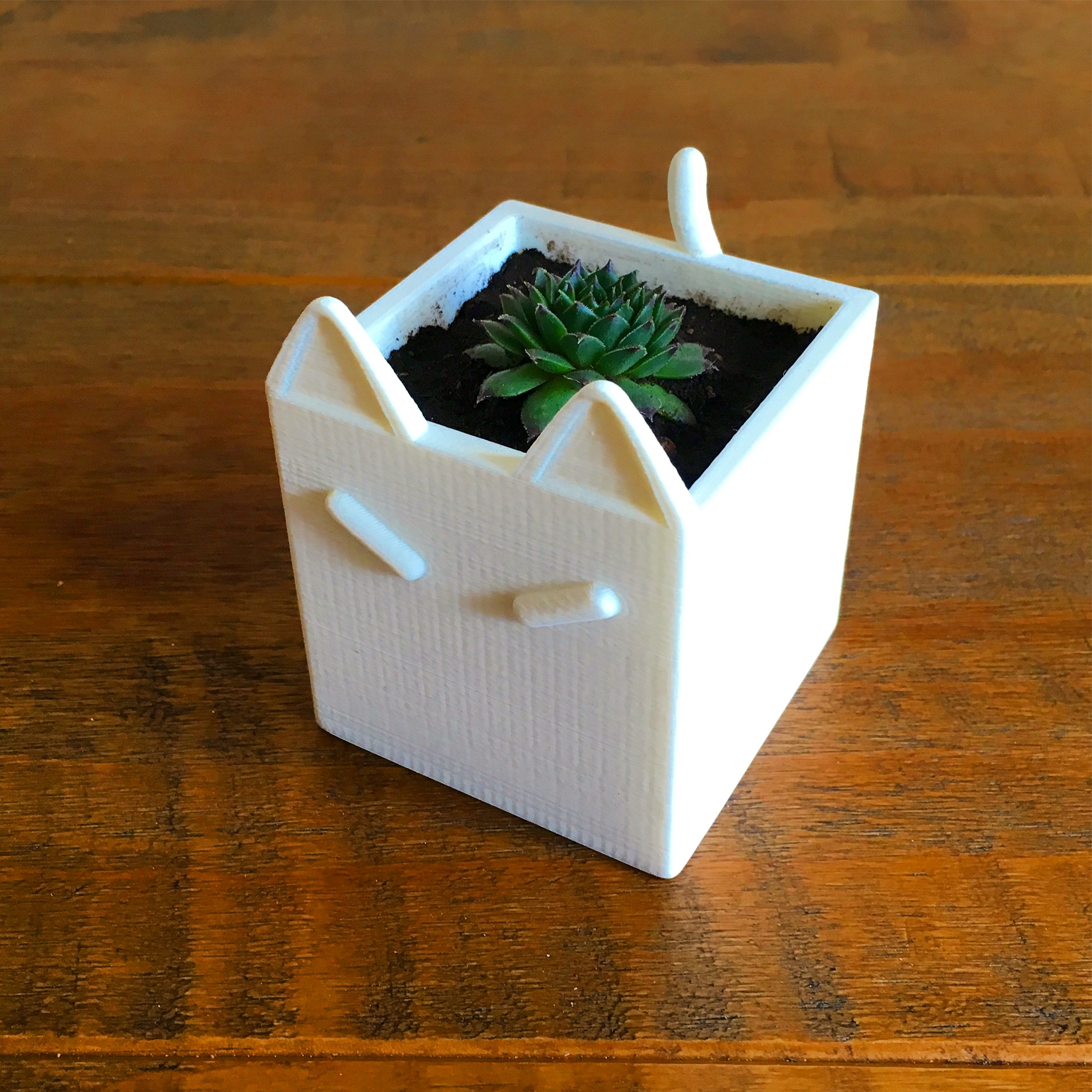 Cat Plant Pot