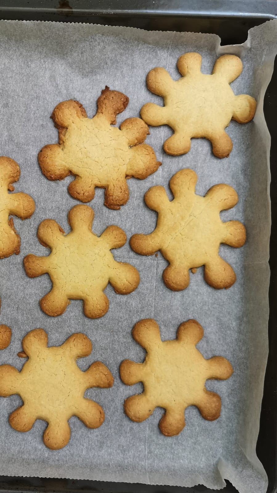 corona cookie cutter