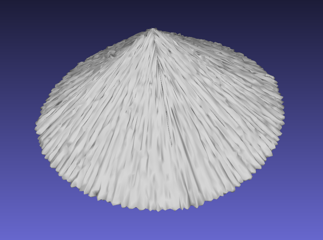 Asian style rice hat - Remix
