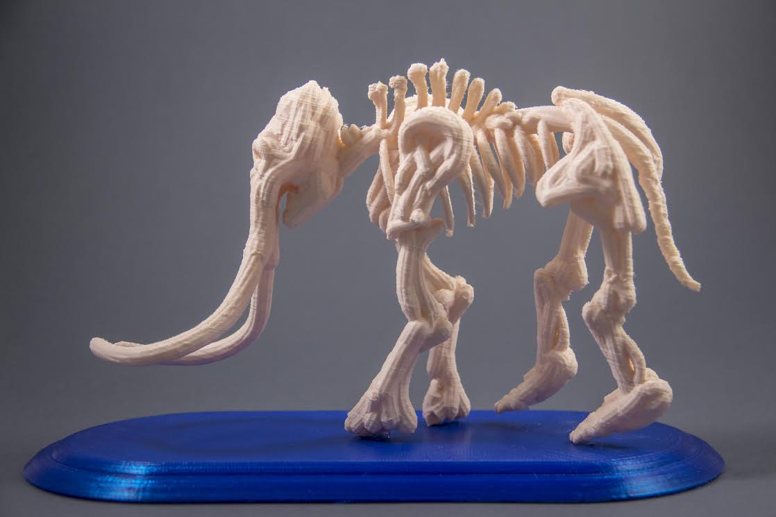 Mammoth Fossil