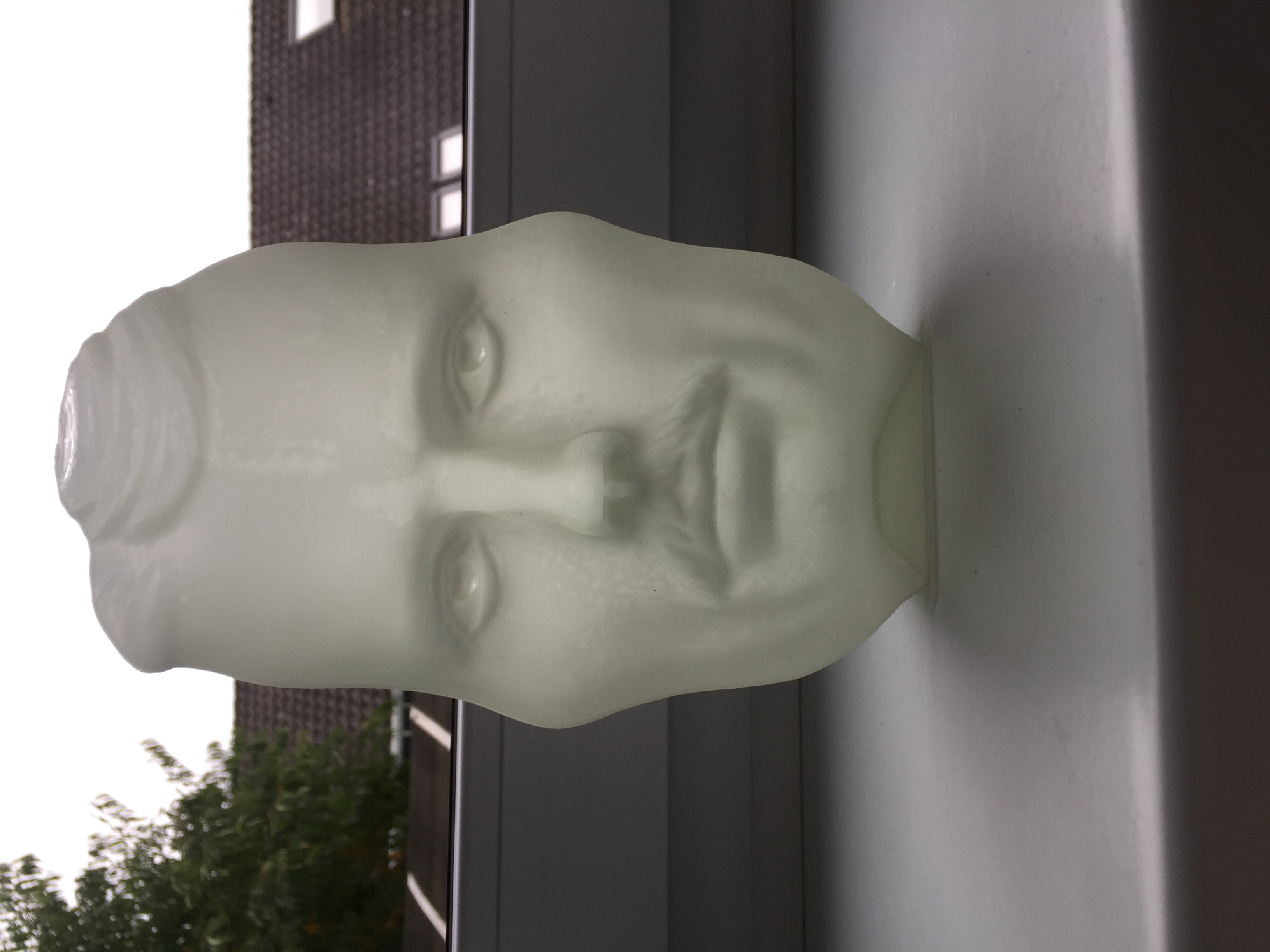 The Vase Face - Tesla / Einstein - Hollow Face Illusion