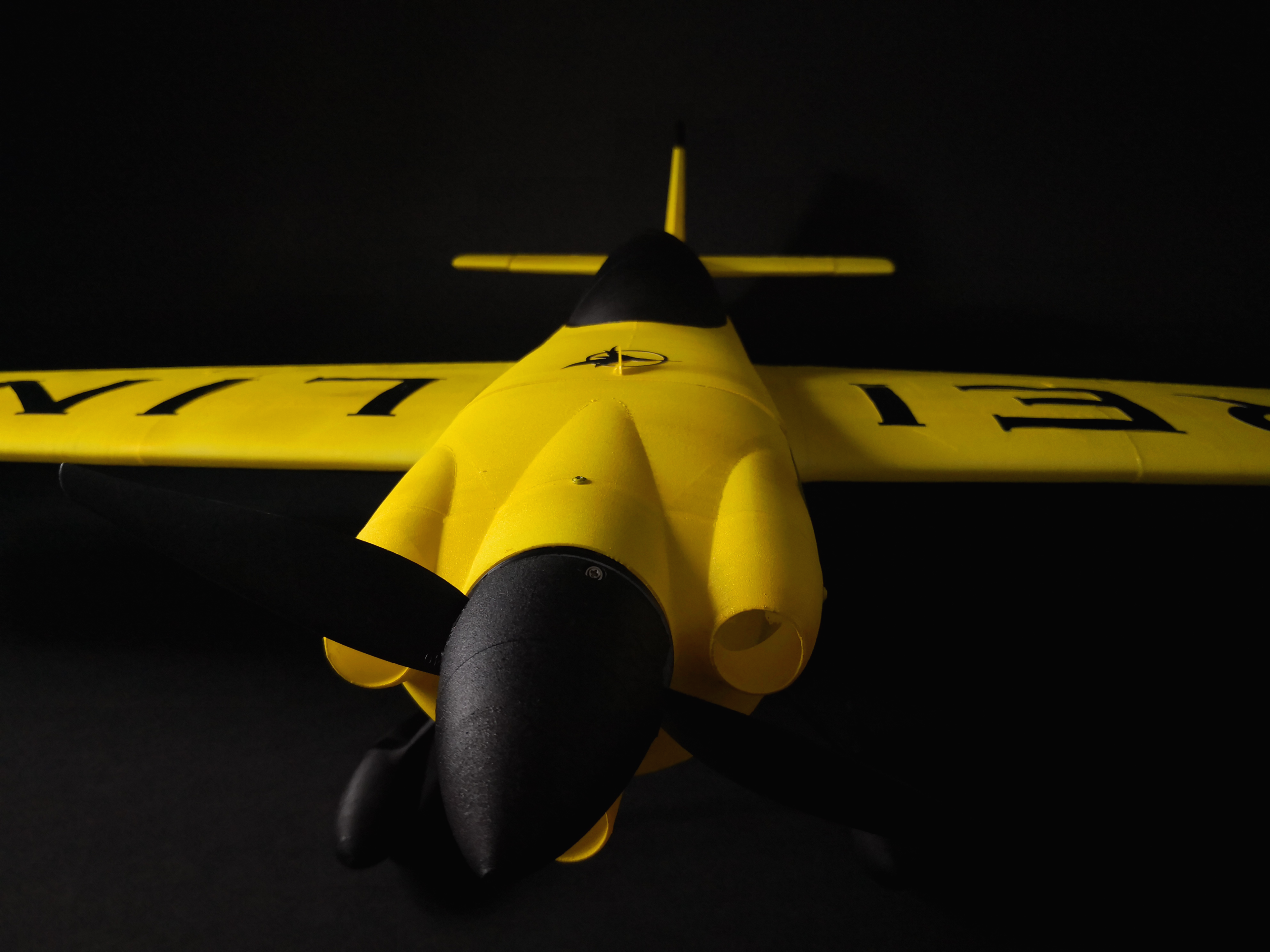 Eclipson MXS-R. Light aerobatic 3D printed plane (wing test)