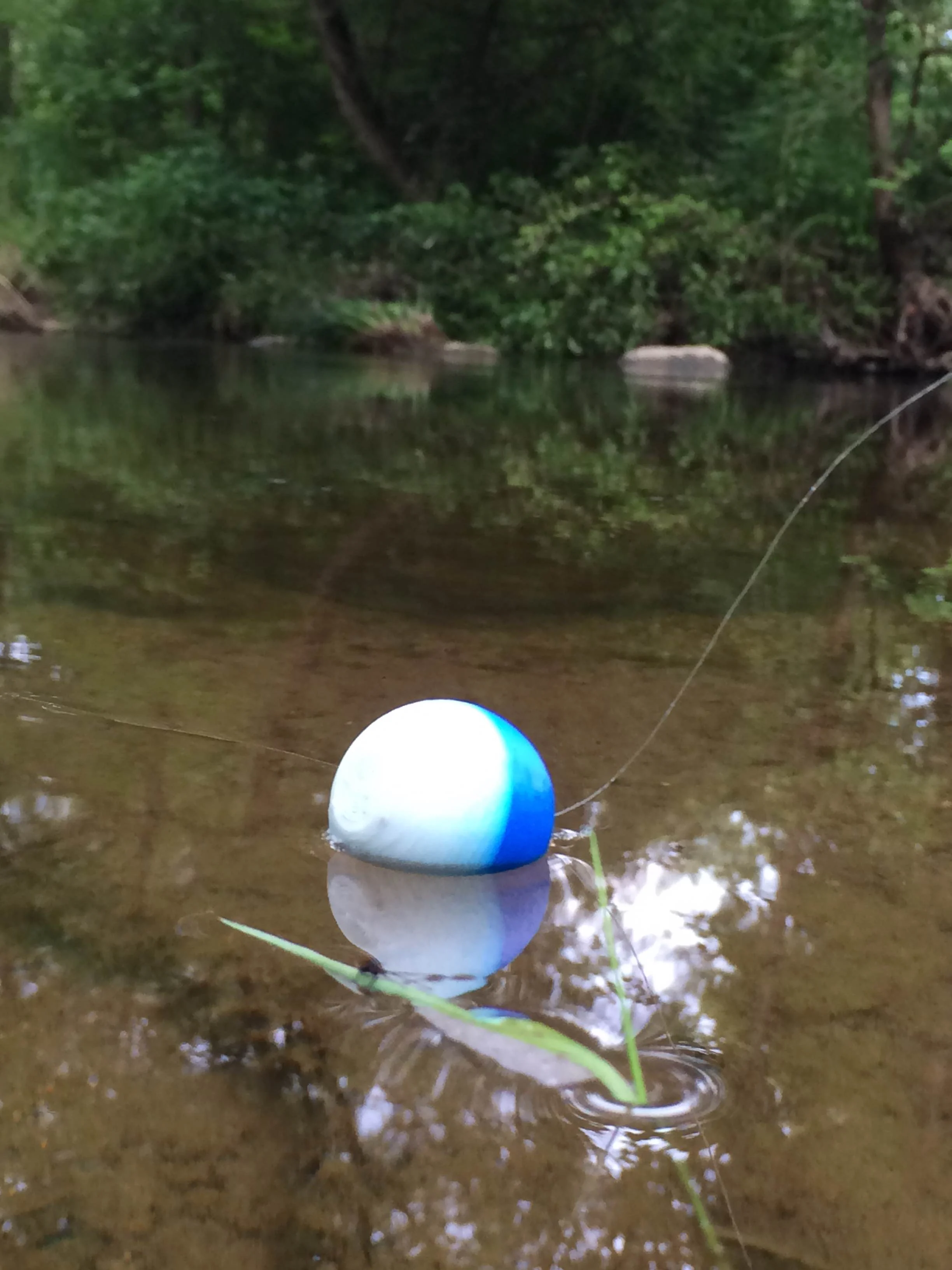 Fishing Bobber