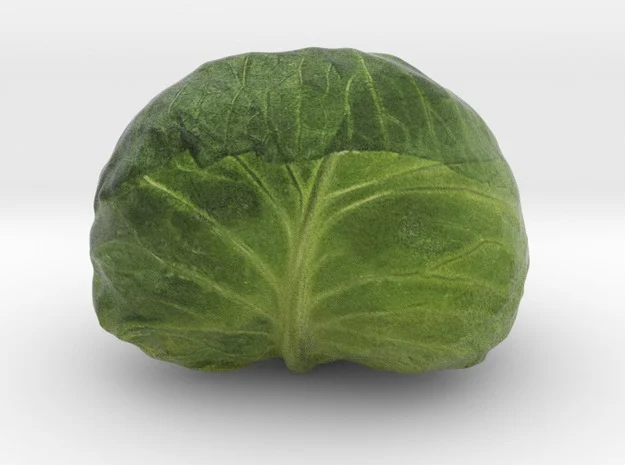 The Cabbage-2