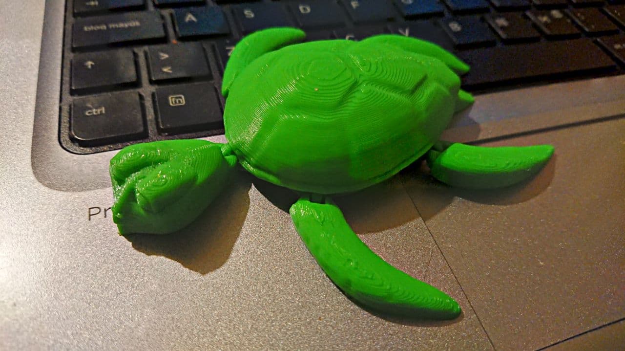 ARTICULATED TURTLE - TORTUGA ARTICULADA