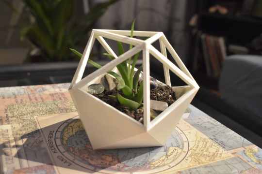 D20 Succulent Planter