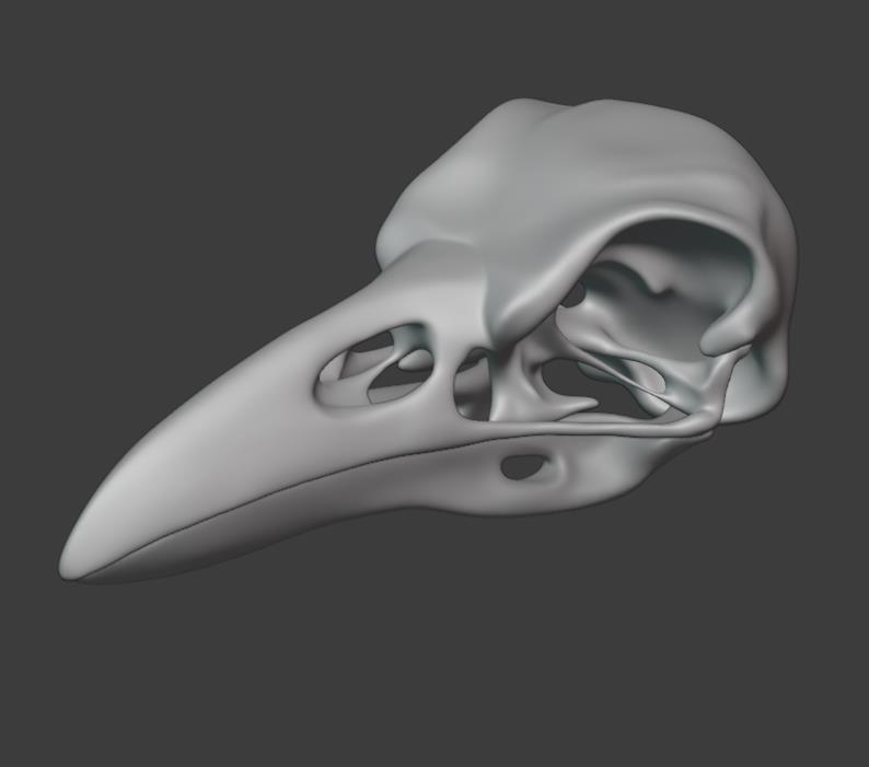 Raven Skull