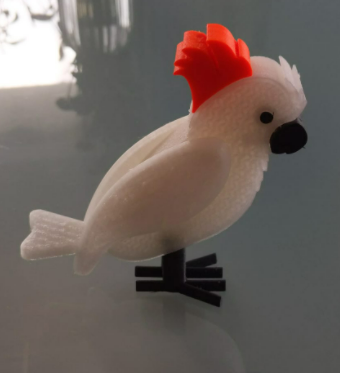 Cockatoo Update new Version